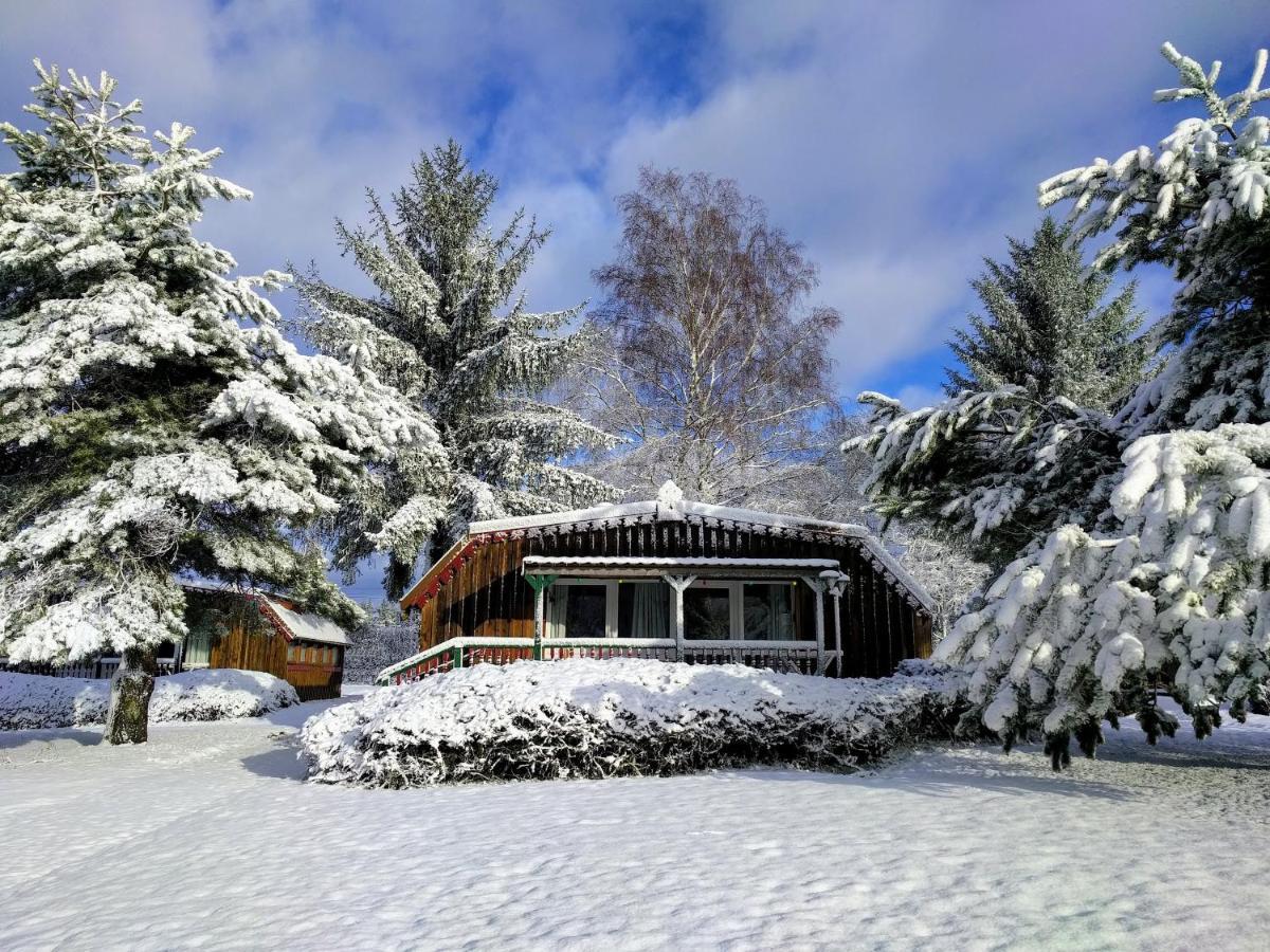 Chalets Des Trois Hetres Plombières-les-Bains Εξωτερικό φωτογραφία